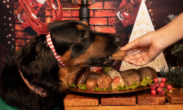 navidad para mascotas con alimentación natural