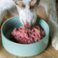 Dieta natural para perros ingredientes frescos