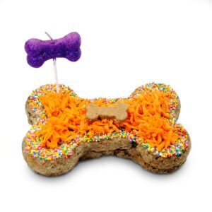 Torta de Cumpleaños Hueso para Perros | FoodPets